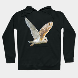 Barn Owl in Flight Hoodie